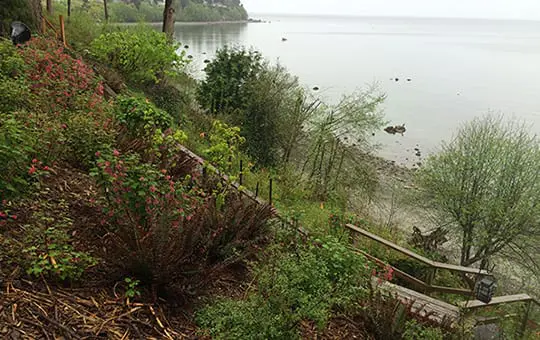 Coastal Bluffs, Slopes and Erosion Control