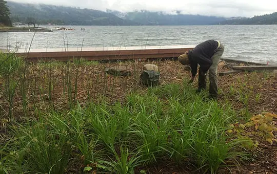 Lake Whatcom, NVPAs, NGPAs, Residential Mitigation