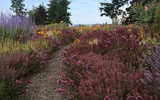 Landscape Horticulture, Habitat Gardens