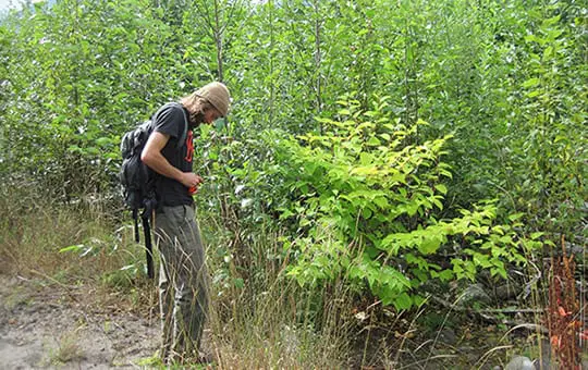 Noxious Weed Management