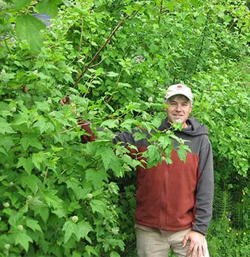 restoration-of-native-vegetation-landscaper-Bellingham